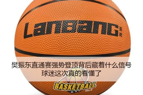 樊振东直通赛强势登顶背后藏着什么信号球迷这次真的看懂了